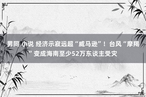 男同 小说 经济示寂远超“威马逊”！台风“摩羯”变成海南至少52万东谈主受灾