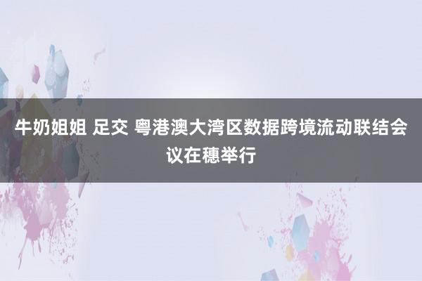 牛奶姐姐 足交 粤港澳大湾区数据跨境流动联结会议在穗举行