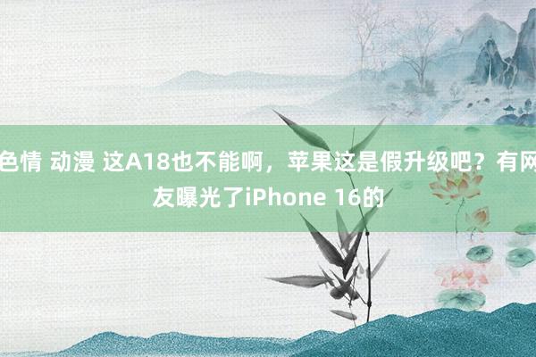 色情 动漫 这A18也不能啊，苹果这是假升级吧？有网友曝光了iPhone 16的