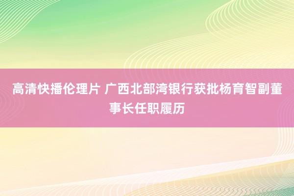 高清快播伦理片 广西北部湾银行获批杨育智副董事长任职履历