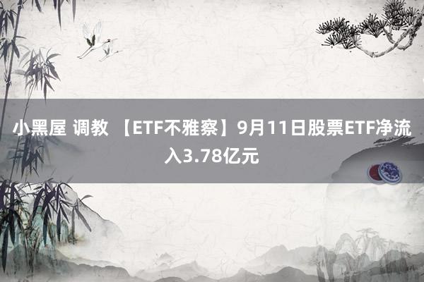 小黑屋 调教 【ETF不雅察】9月11日股票ETF净流入3.78亿元