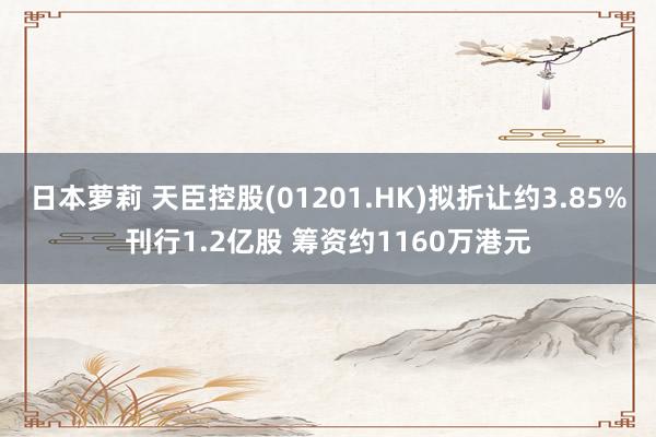 日本萝莉 天臣控股(01201.HK)拟折让约3.85%刊行1.2亿股 筹资约1160万港元