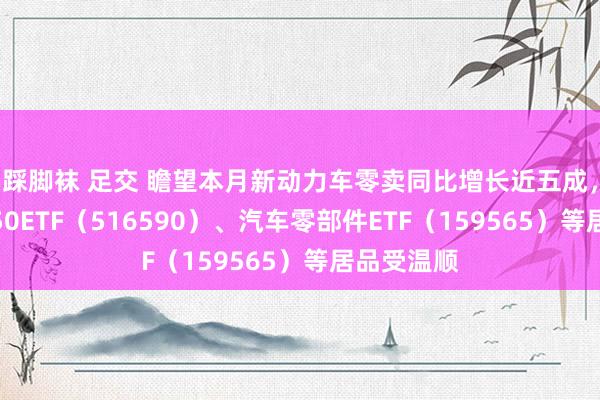 踩脚袜 足交 瞻望本月新动力车零卖同比增长近五成，智能汽车50ETF（516590）、汽车零部件ETF（159565）等居品受温顺