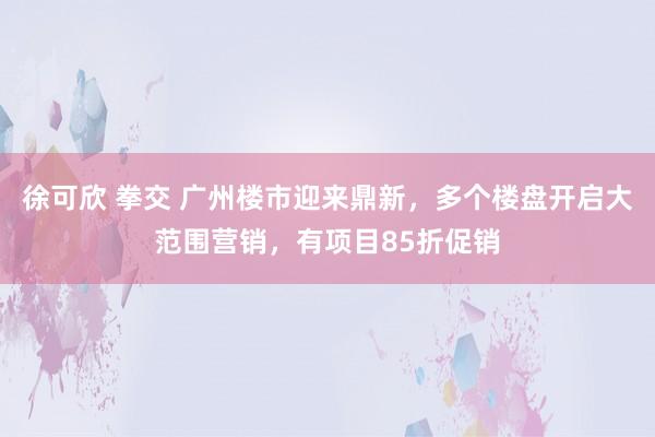 徐可欣 拳交 广州楼市迎来鼎新，多个楼盘开启大范围营销，有项目85折促销