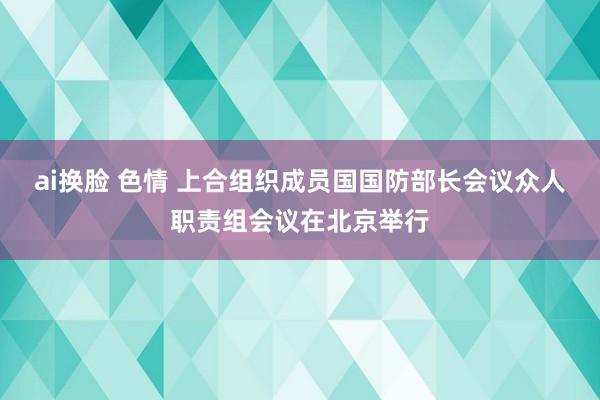 ai换脸 色情 上合组织成员国国防部长会议众人职责组会议在北京举行