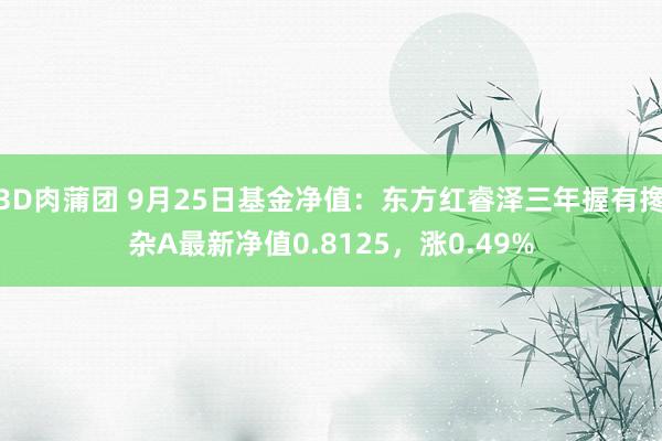 3D肉蒲团 9月25日基金净值：东方红睿泽三年握有搀杂A最新净值0.8125，涨0.49%