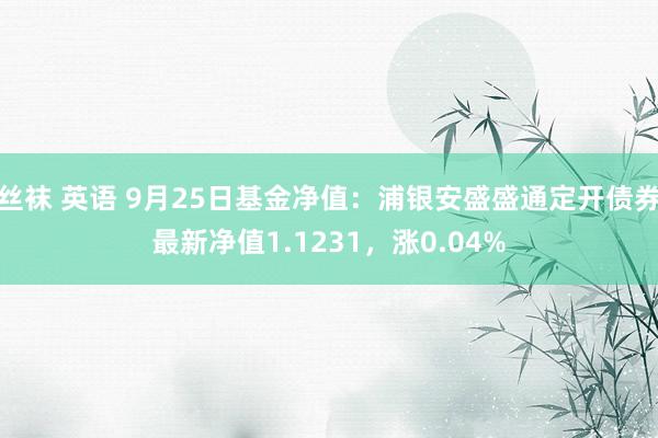 丝袜 英语 9月25日基金净值：浦银安盛盛通定开债券最新净值1.1231，涨0.04%