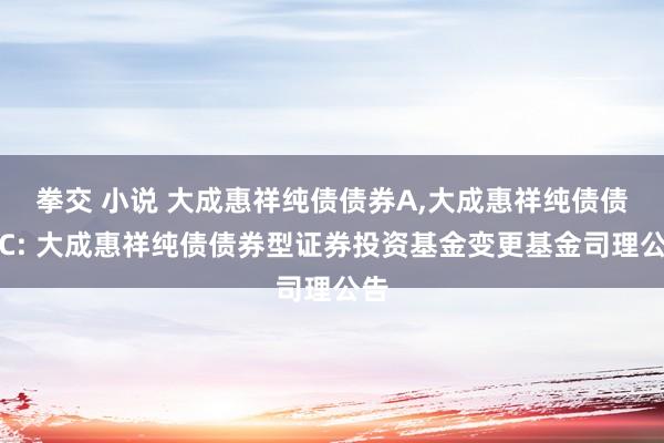 拳交 小说 大成惠祥纯债债券A，大成惠祥纯债债券C: 大成惠祥纯债债券型证券投资基金变更基金司理公告