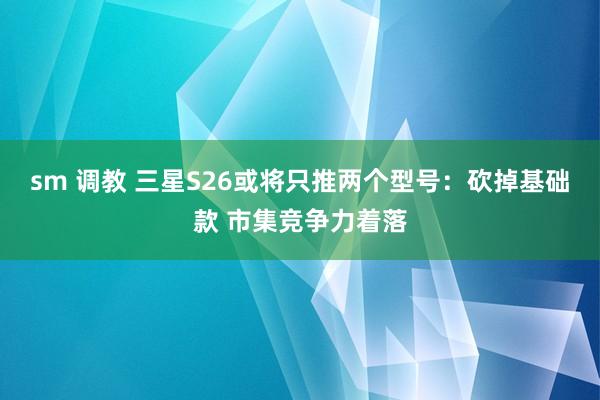 sm 调教 三星S26或将只推两个型号：砍掉基础款 市集竞争力着落