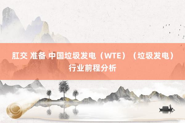 肛交 准备 中国垃圾发电（WTE）（垃圾发电）行业前程分析