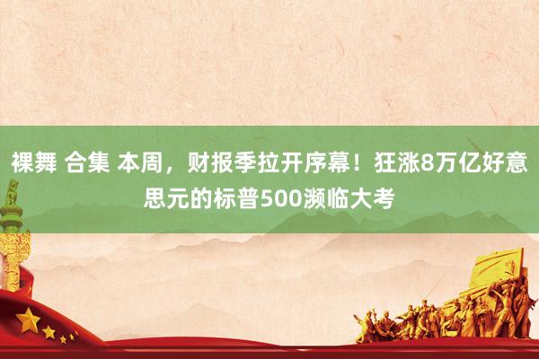 裸舞 合集 本周，财报季拉开序幕！狂涨8万亿好意思元的标普500濒临大考