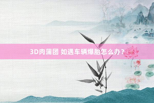 3D肉蒲团 如遇车辆爆胎怎么办？