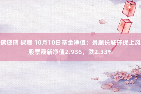 擦玻璃 裸舞 10月10日基金净值：景顺长城环保上风股票最新净值2.936，跌2.33%