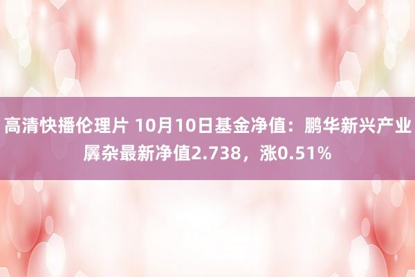 高清快播伦理片 10月10日基金净值：鹏华新兴产业羼杂最新净值2.738，涨0.51%