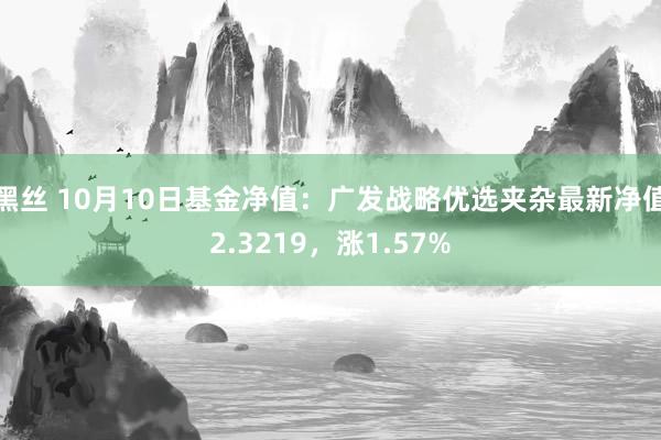 黑丝 10月10日基金净值：广发战略优选夹杂最新净值2.3219，涨1.57%