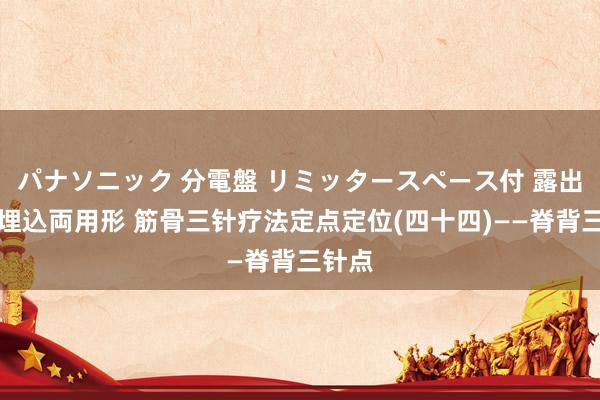 パナソニック 分電盤 リミッタースペース付 露出・半埋込両用形 筋骨三针疗法定点定位(四十四)——脊背三针点