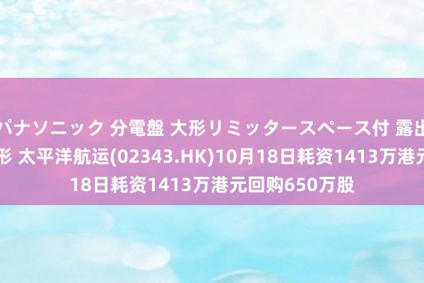 パナソニック 分電盤 大形リミッタースペース付 露出・半埋込両用形 太平洋航运(02343.HK)10月18日耗资1413万港元回购650万股