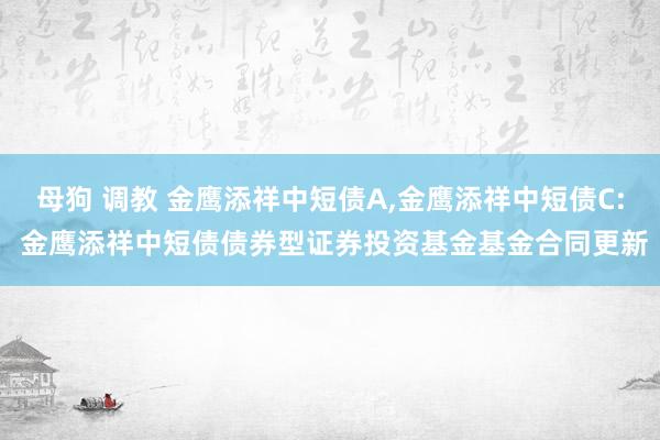 母狗 调教 金鹰添祥中短债A，金鹰添祥中短债C: 金鹰添祥中短债债券型证券投资基金基金合同更新