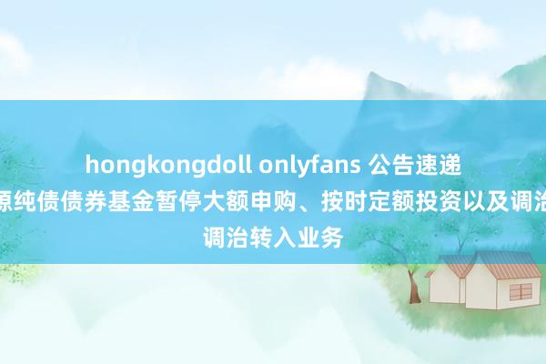 hongkongdoll onlyfans 公告速递：长安泓源纯债债券基金暂停大额申购、按时定额投资以及调治转入业务