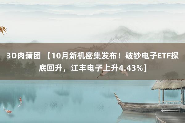 3D肉蒲团 【10月新机密集发布！破钞电子ETF探底回升，江丰电子上升4.43%】