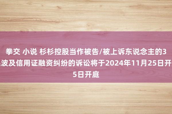 拳交 小说 杉杉控股当作被告/被上诉东说念主的3起波及信用证融资纠纷的诉讼将于2024年11月25日开庭