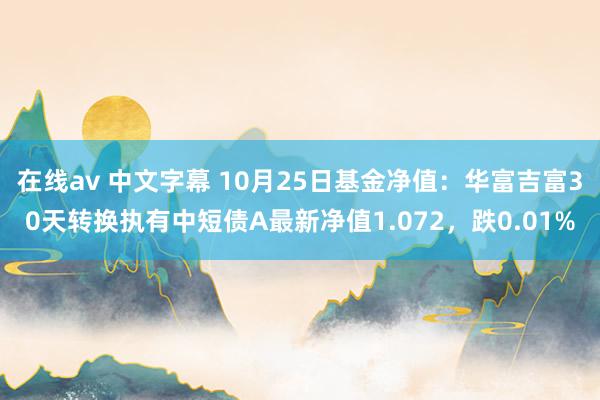 在线av 中文字幕 10月25日基金净值：华富吉富30天转换执有中短债A最新净值1.072，跌0.01%