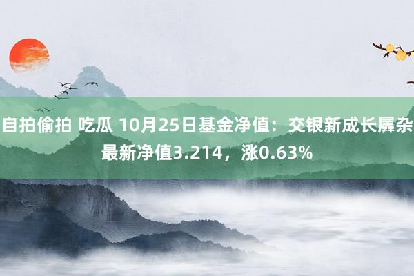 自拍偷拍 吃瓜 10月25日基金净值：交银新成长羼杂最新净值3.214，涨0.63%