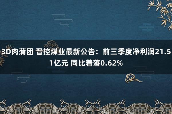 3D肉蒲团 晋控煤业最新公告：前三季度净利润21.51亿元 同比着落0.62%