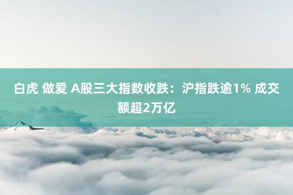 白虎 做爱 A股三大指数收跌：沪指跌逾1% 成交额超2万亿