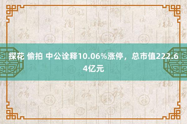 探花 偷拍 中公诠释10.06%涨停，总市值222.64亿元