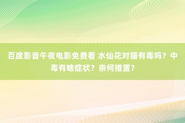 百度影音午夜电影免费看 水仙花对猫有毒吗？中毒有啥症状？奈何措置？