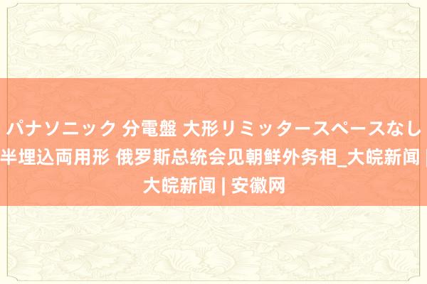 パナソニック 分電盤 大形リミッタースペースなし 露出・半埋込両用形 俄罗斯总统会见朝鲜外务相_大皖新闻 | 安徽网