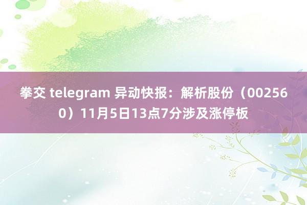 拳交 telegram 异动快报：解析股份（002560）11月5日13点7分涉及涨停板