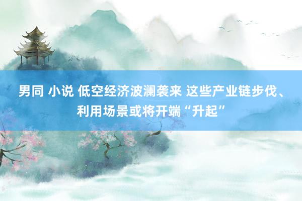 男同 小说 低空经济波澜袭来 这些产业链步伐、利用场景或将开端“升起”