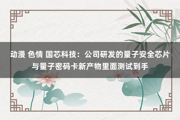 动漫 色情 国芯科技：公司研发的量子安全芯片与量子密码卡新产物里面测试到手