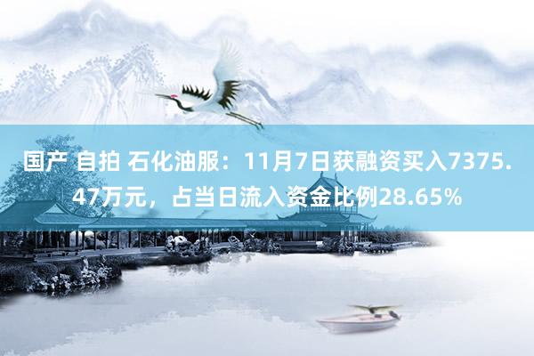 国产 自拍 石化油服：11月7日获融资买入7375.47万元，占当日流入资金比例28.65%