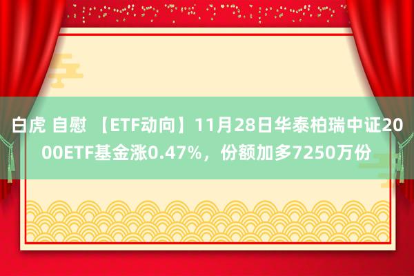 白虎 自慰 【ETF动向】11月28日华泰柏瑞中证2000ETF基金涨0.47%，份额加多7250万份