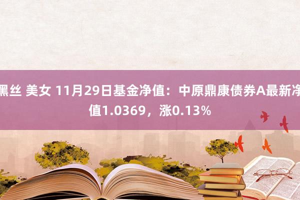 黑丝 美女 11月29日基金净值：中原鼎康债券A最新净值1.0369，涨0.13%