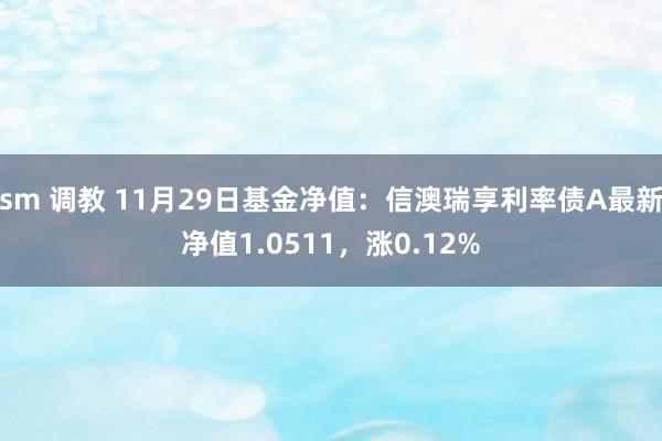 sm 调教 11月29日基金净值：信澳瑞享利率债A最新净值1.0511，涨0.12%