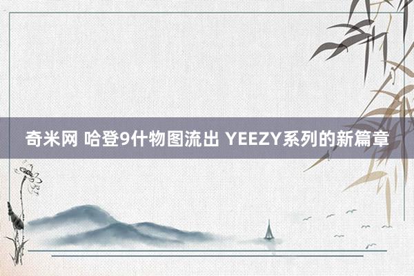 奇米网 哈登9什物图流出 YEEZY系列的新篇章