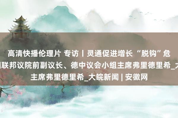 高清快播伦理片 专访丨灵通促进增长 “脱钩”危及改日——访德国联邦议院前副议长、德中议会小组主席弗里德里希_大皖新闻 | 安徽网