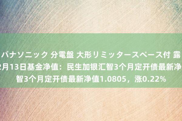 パナソニック 分電盤 大形リミッタースペース付 露出・半埋込両用形 12月13日基金净值：民生加银汇智3个月定开债最新净值1.0805，涨0.22%