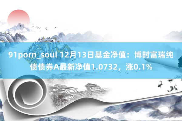 91porn_soul 12月13日基金净值：博时富瑞纯债债券A最新净值1.0732，涨0.1%