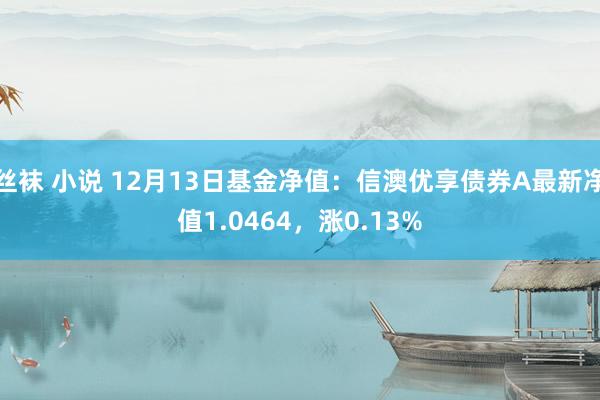 丝袜 小说 12月13日基金净值：信澳优享债券A最新净值1.0464，涨0.13%