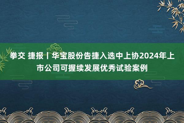 拳交 捷报丨华宝股份告捷入选中上协2024年上市公司可握续发展优秀试验案例