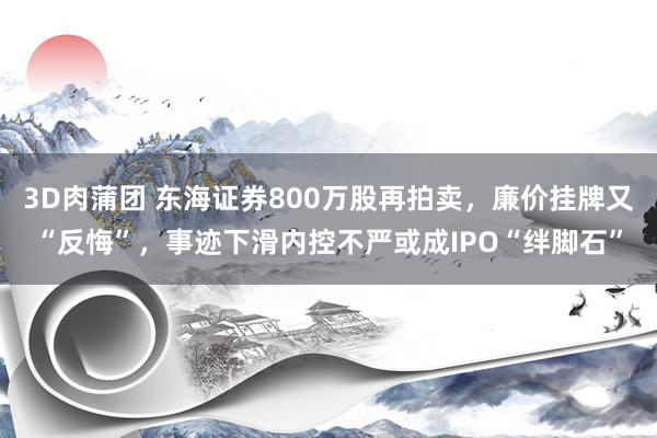 3D肉蒲团 东海证券800万股再拍卖，廉价挂牌又“反悔”，事迹下滑内控不严或成IPO“绊脚石”