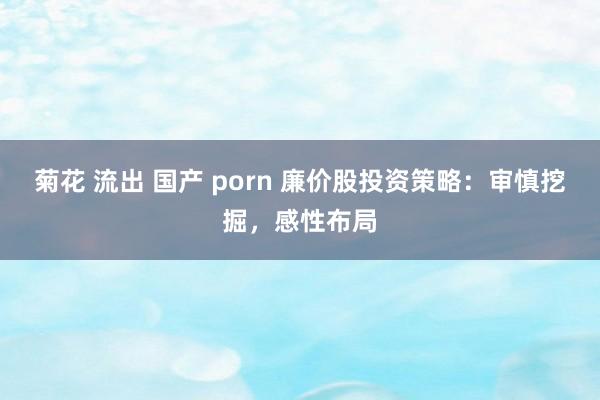 菊花 流出 国产 porn 廉价股投资策略：审慎挖掘，感性布局