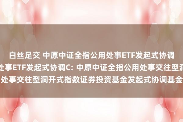 白丝足交 中原中证全指公用处事ETF发起式协调A，中原中证全指公用处事ETF发起式协调C: 中原中证全指公用处事交往型洞开式指数证券投资基金发起式协调基金基金合同收效公告