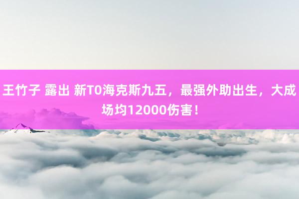 王竹子 露出 新T0海克斯九五，最强外助出生，大成场均12000伤害！