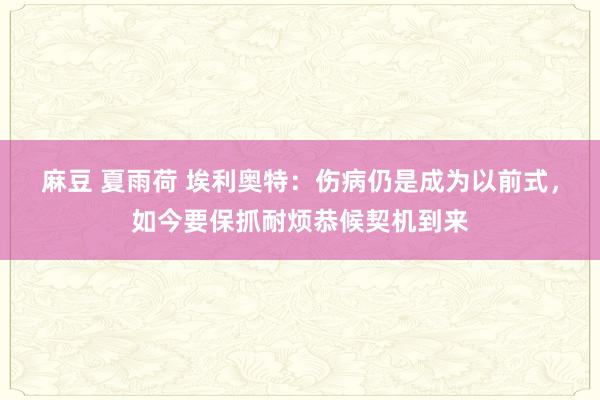 麻豆 夏雨荷 埃利奥特：伤病仍是成为以前式，如今要保抓耐烦恭候契机到来